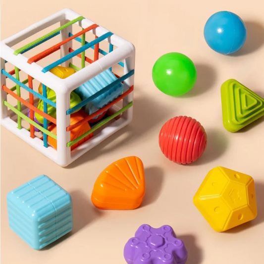 Shape Sorter