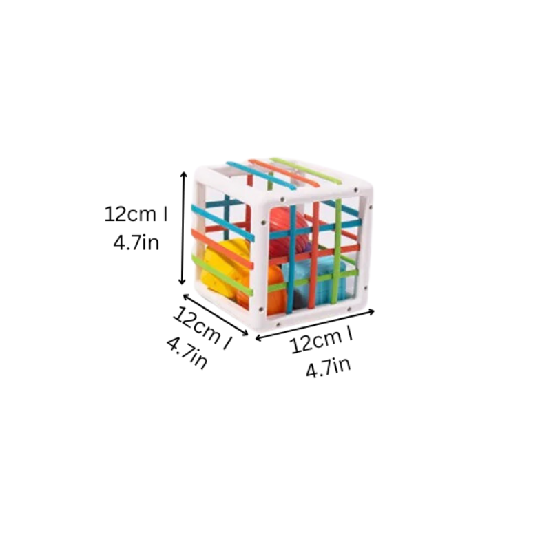 Shape Sorter