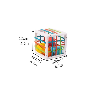 Shape Sorter