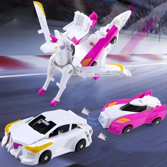 Magnetic Car