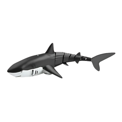 RC Shark
